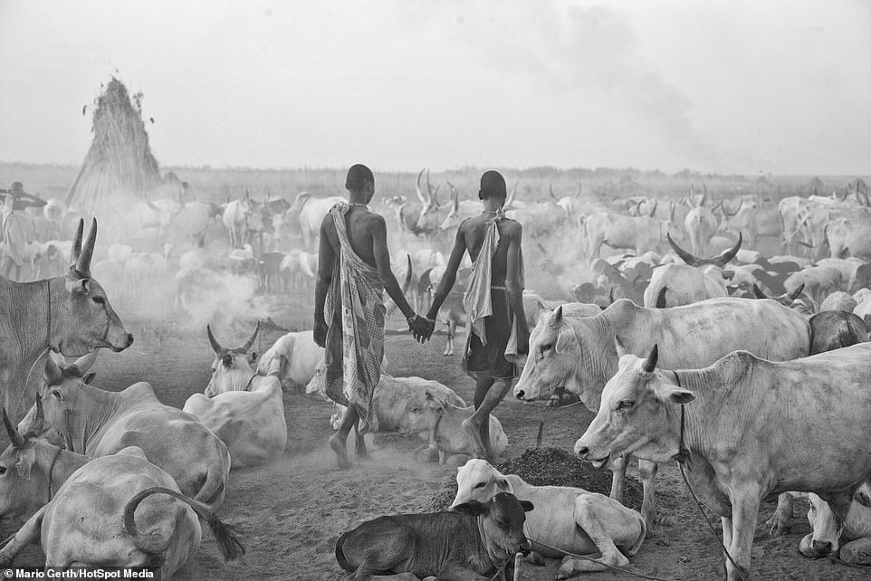 cattle as early form of money