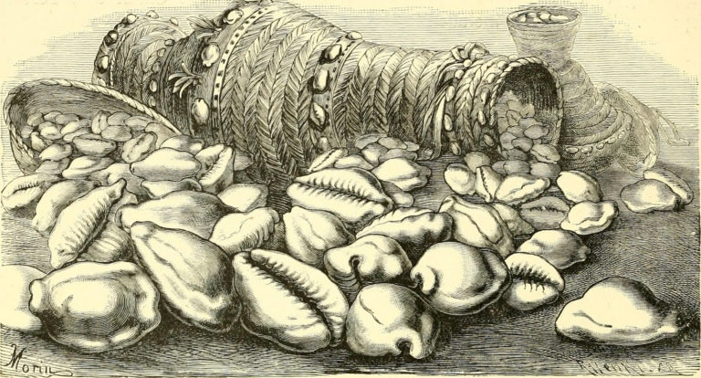 historical art piece money cowrie