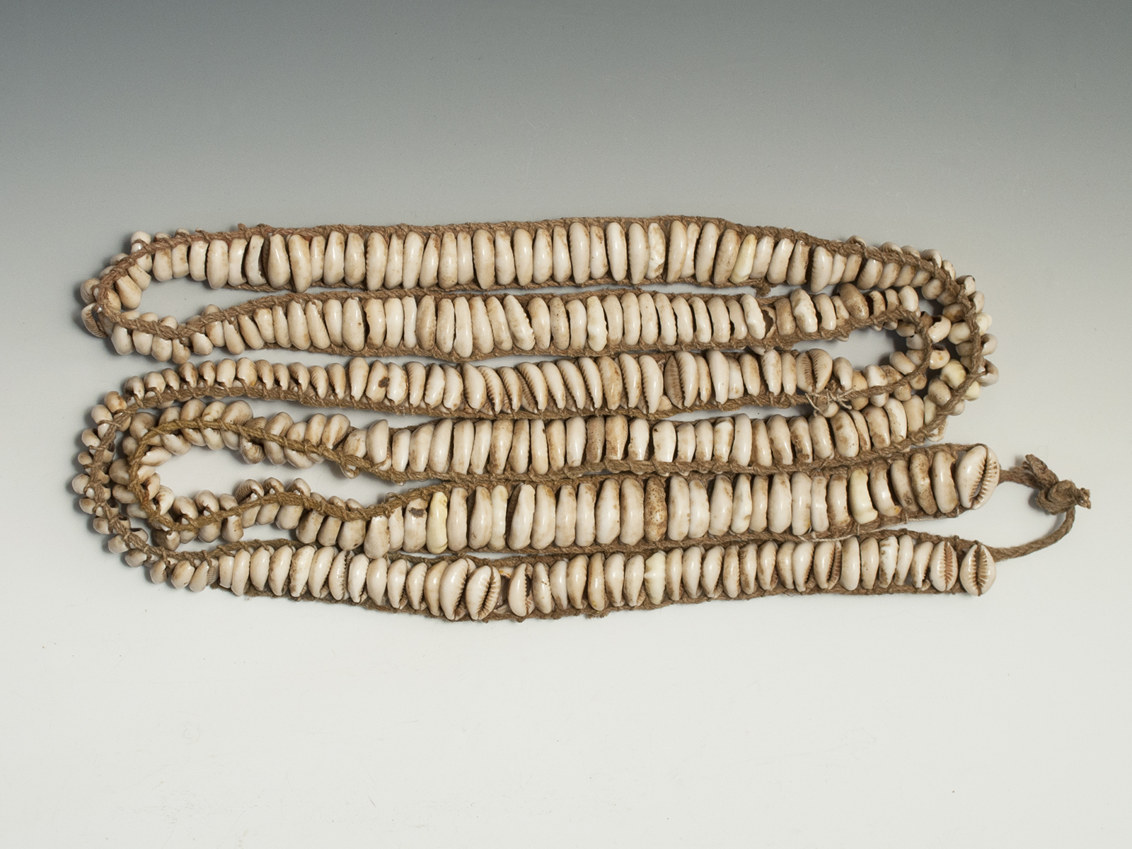 historic necklace ancient cowrie shell money