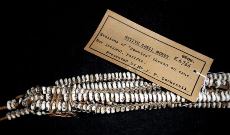 historical necklace money cowrie